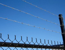 Barb top chainwire and barbed wire