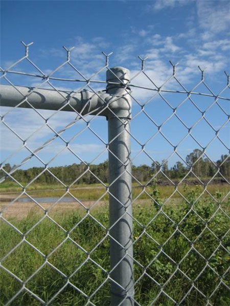 Chainwire Galvanised Fence