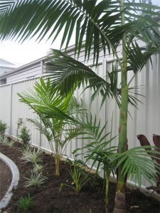 Colorbond with Sleeper Base