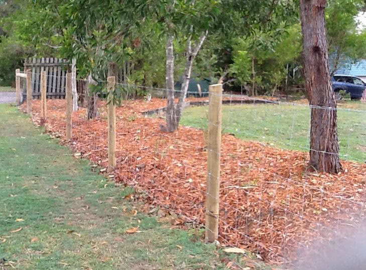Dog Wire Fence with Pine Posts