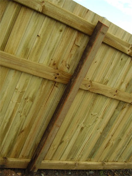Standard Butted Pine Paling Timber Fence