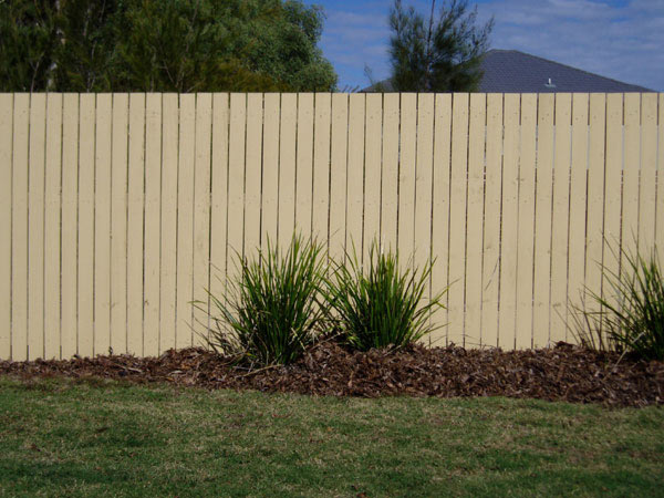 Standard Pine Paling Fence Painted