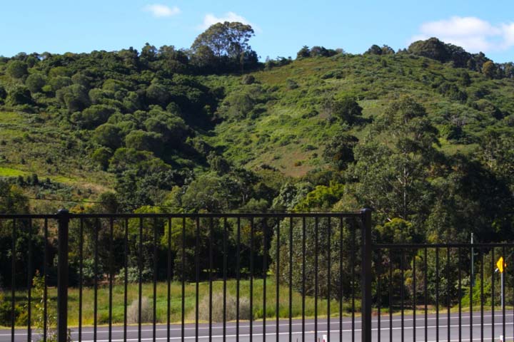 Federal State School Fencing