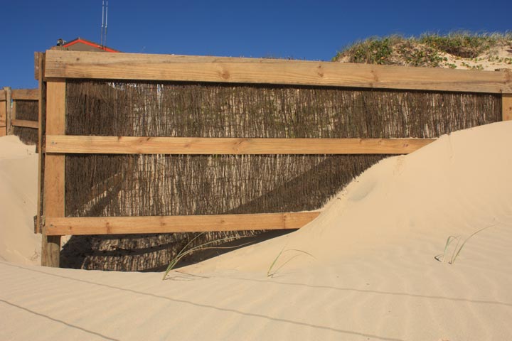 Marcoola Dune Fence