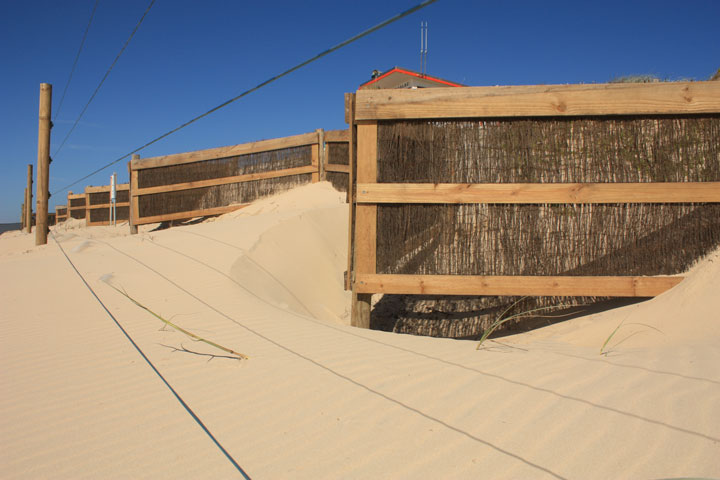 Marcoola Dune Fence