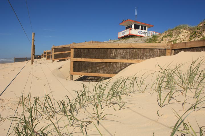 Marcoola Dune Fence