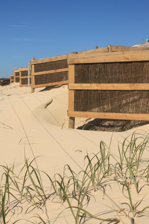 Marcoola Dune Fence