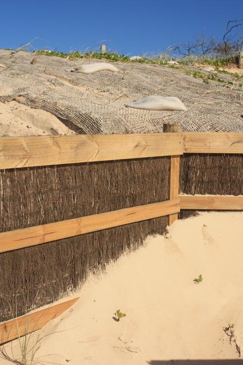 Marcoola Dune Fence