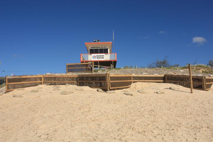 Marcoola Dune Fence