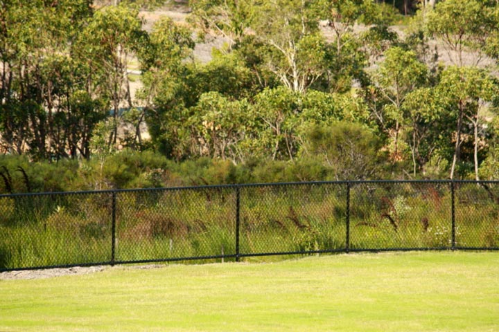 Peregian Springs State School Fencing