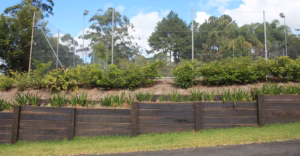 Hardwood retaining wall