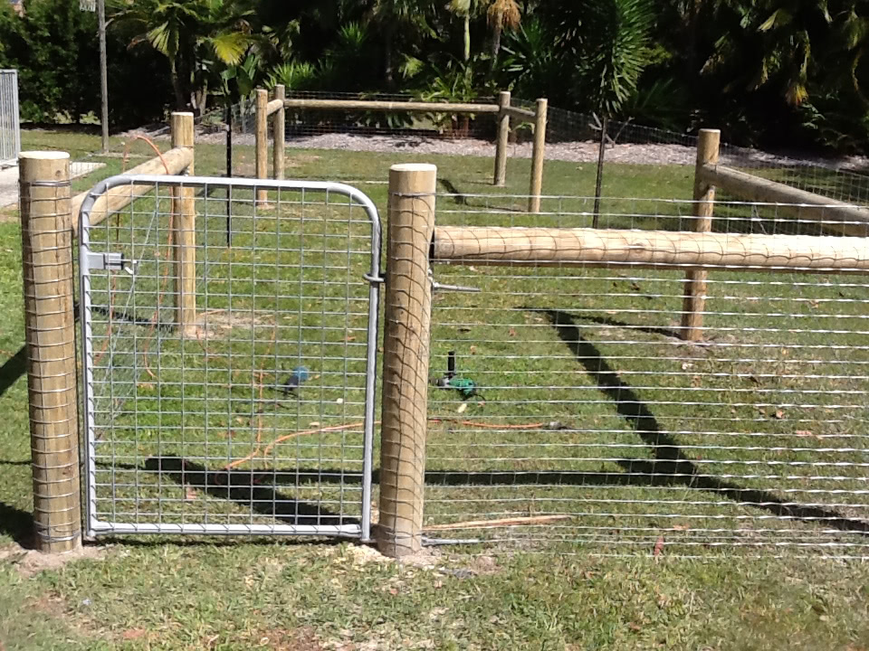 Dog Fence Fencescape Fencing