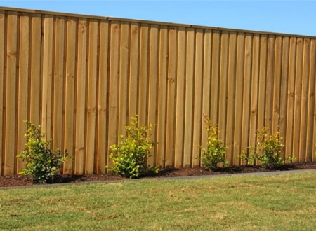 lapped and capped timber fence